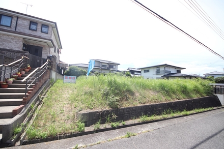 売地 阪南市箱の浦