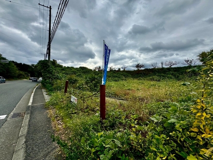 ���n ���S�F�撬���㐼�S����