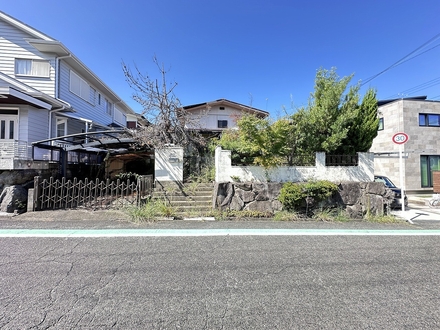 ���n ���s�M�B�s��