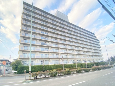 ���Ã}���V���� �͓�����s��ԑ�W����